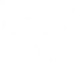 Baggit