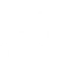 MERLIN Properties