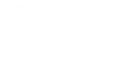 The Souled Store