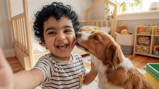 Laughing curly-haired toddler holding the camera at arm's length as a brown and white dog licks their cheek
